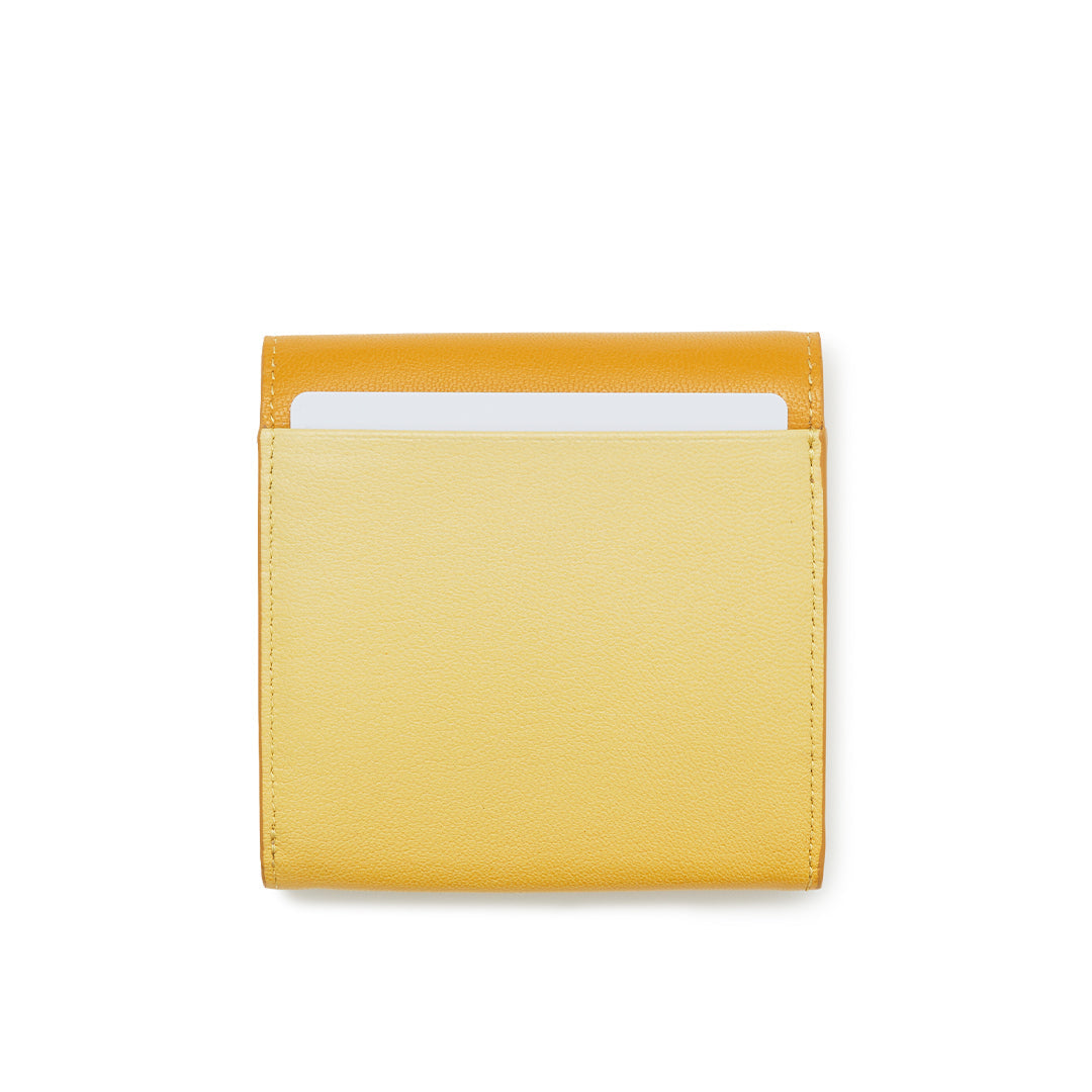 Irodori Wallet