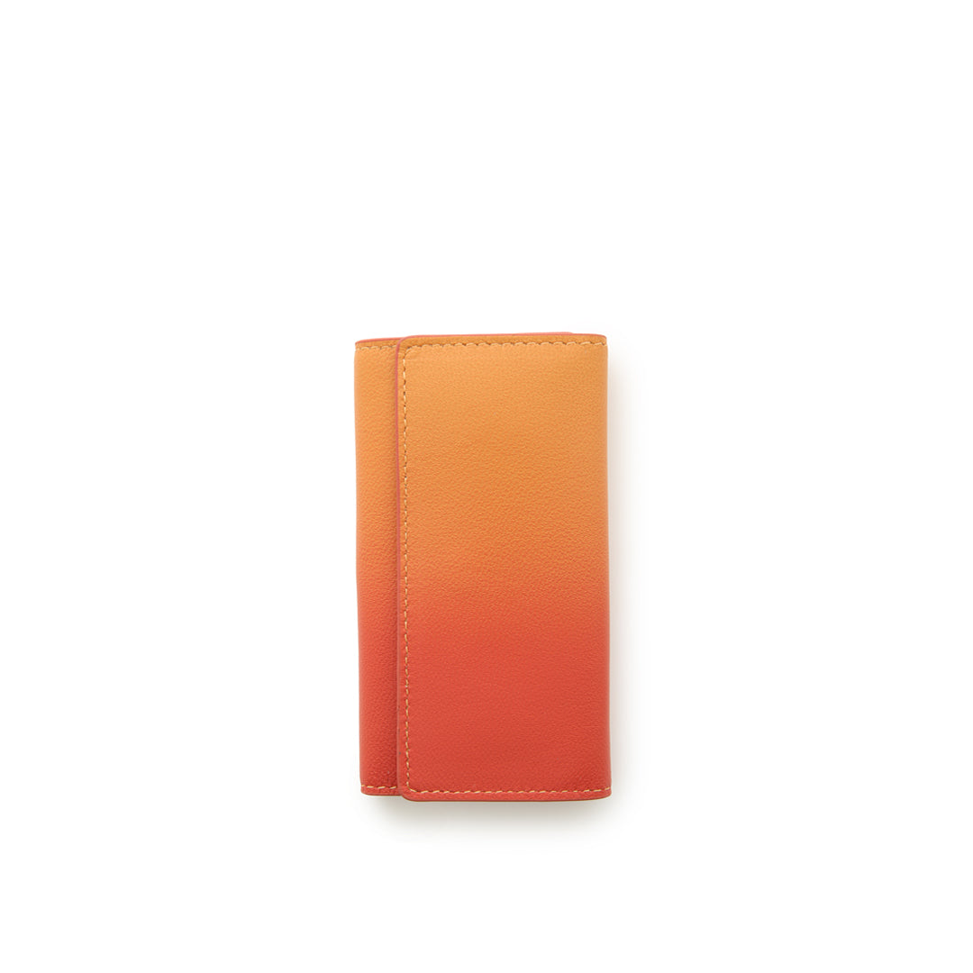 Irodori Key Case