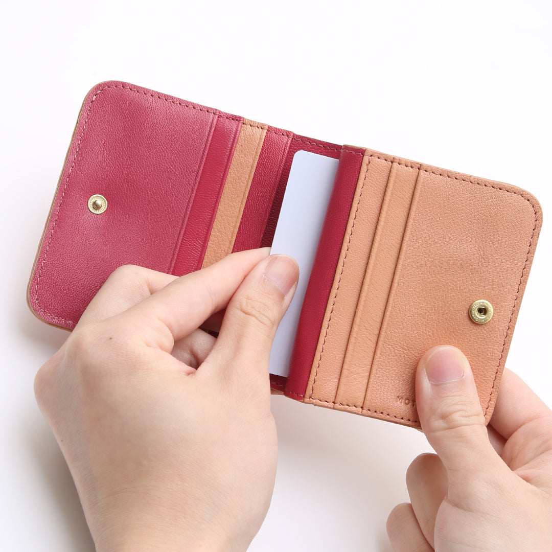 Irodori Mesh Wallet